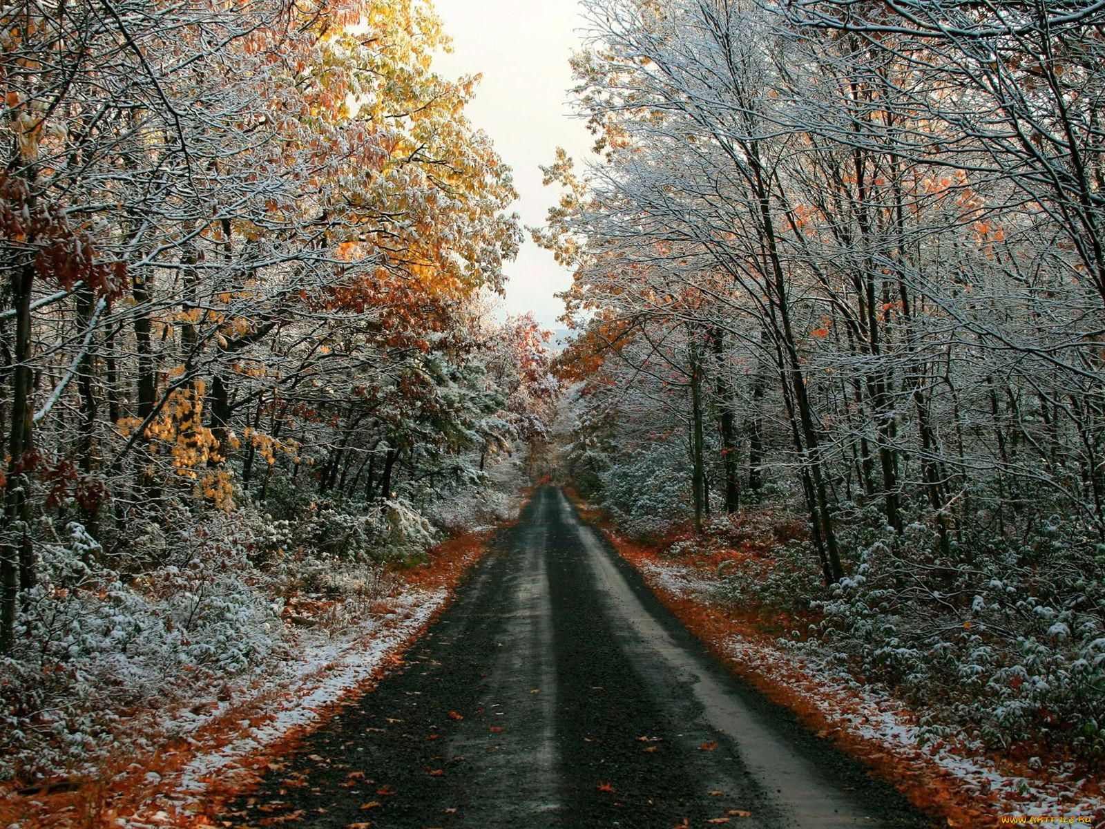 Картинки осень ноябрь. С началом зимы. Осень со снегом дорога. Осенняя дорога ноябрь. Первый снег дорога ноябрь.